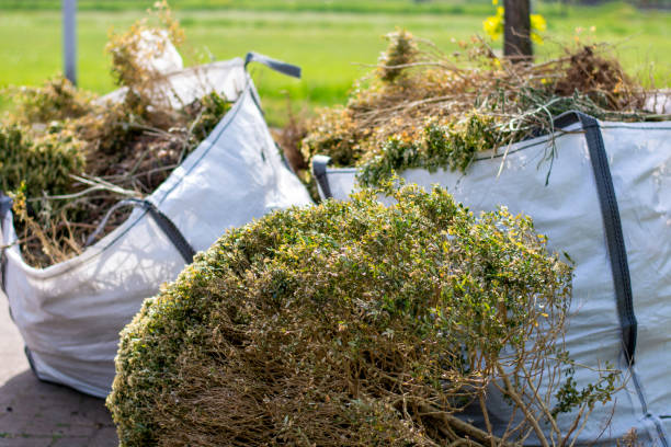 Best Moving and Downsizing Cleanouts  in Seguin, TX